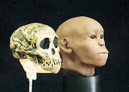 Enfant de Taung
